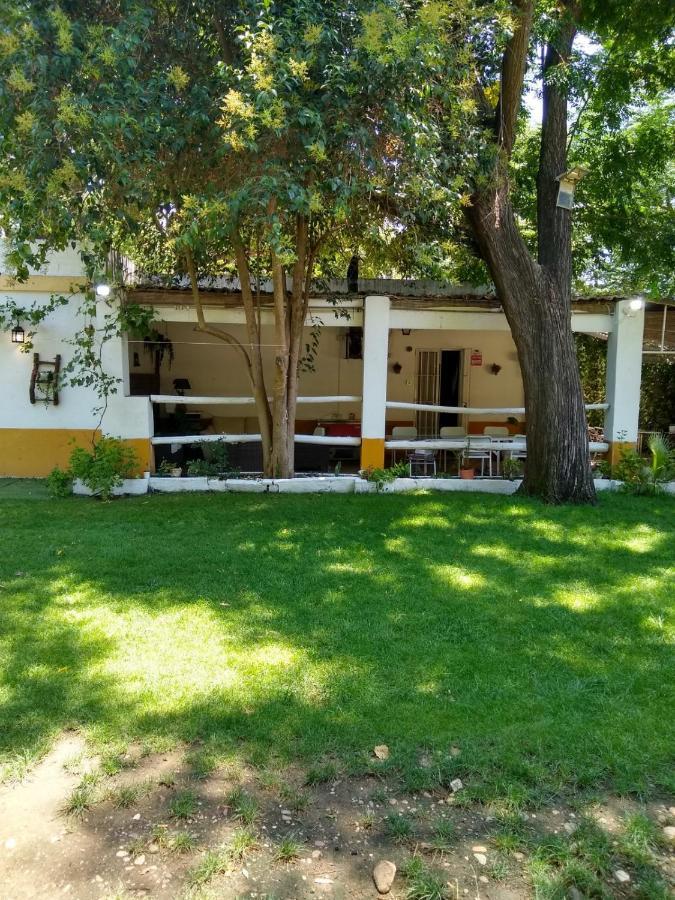 Finca El Naranjo Seville Ngoại thất bức ảnh