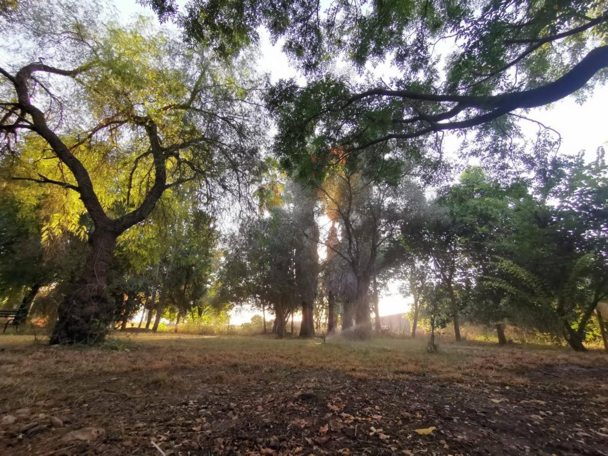 Finca El Naranjo Seville Ngoại thất bức ảnh
